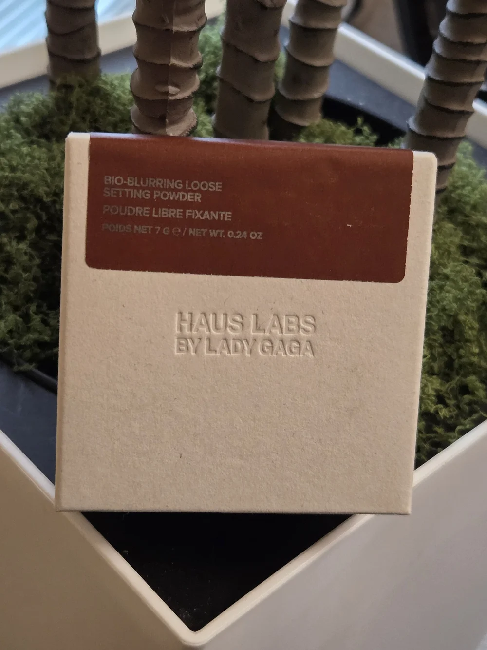 Haus Labs By Lady Gaga Bio-Blurring Loose Setting Powder - Brown & Cream